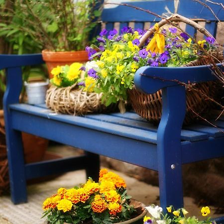 Ferienwohnung Hoff Gollingen エクステリア 写真